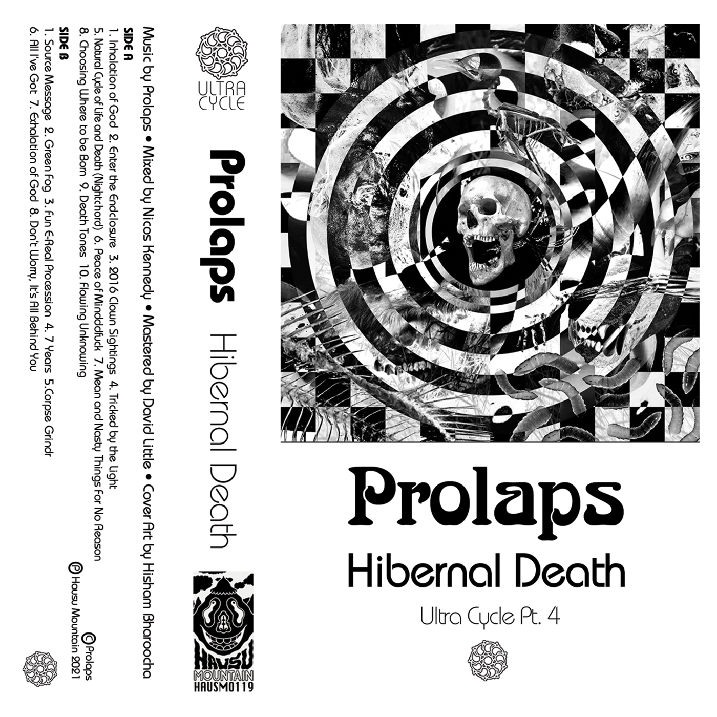 the cover art for the album 'Ultra Cycle Part 4: Hibernal Death' by Prolaps