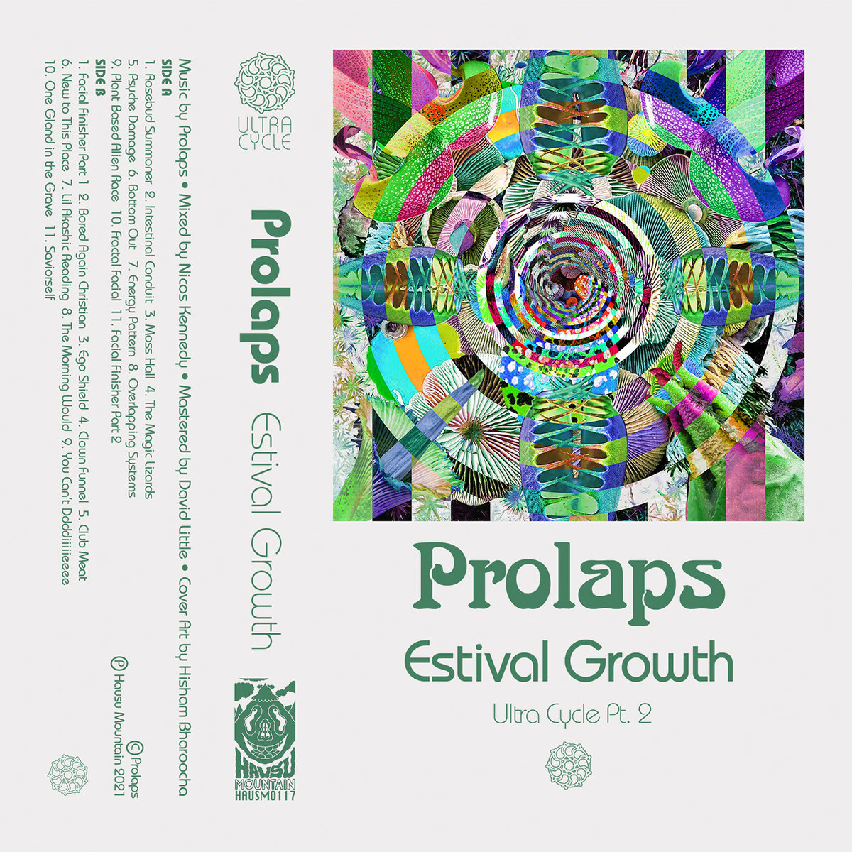 the cover art for the album 'Ultra Cycle Part 2: Estival Growth' by Prolaps